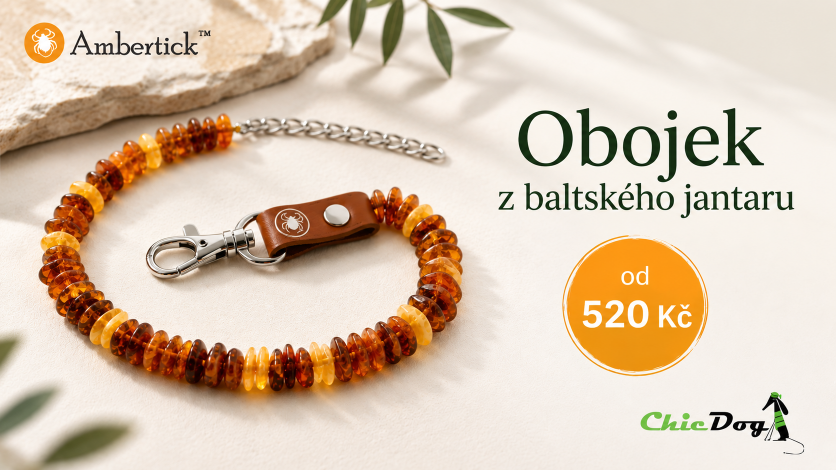 Obojek z jantaru