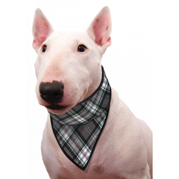 Chladící šátek pro psa Scottish Grey