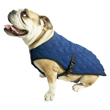 Chladící vesta pro psa Pacific Blue