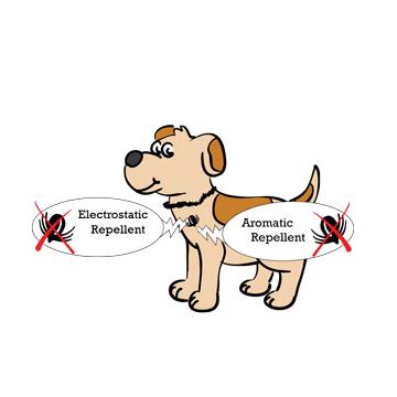 Antiparazitní jantarový obojek