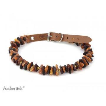 Antiparazitní jantarový obojek s přezkou - tmavý II