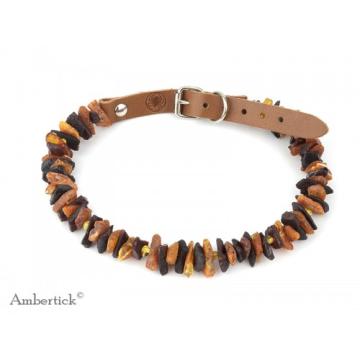 Antiparazitní jantarový obojek s přezkou - tmavý II