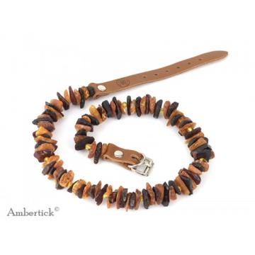 Antiparazitní jantarový obojek s přezkou - tmavý II