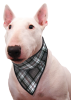 Chladící šátek pro psa Scottish Grey