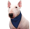 Chladící šátek pro psa Pacific Blue