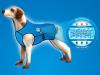 Chladící vesta pro psa Aqua CoolKeeper
